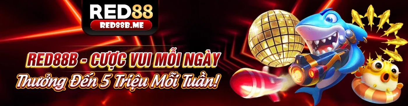 Điều khoản dịch vụ của hubet casino